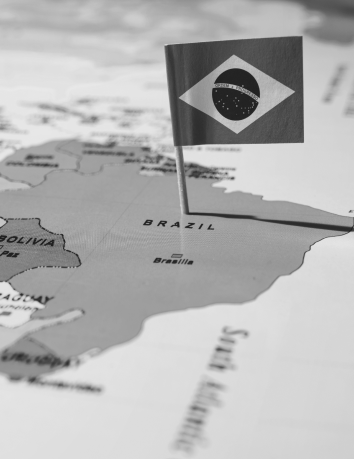 Brazil Flag